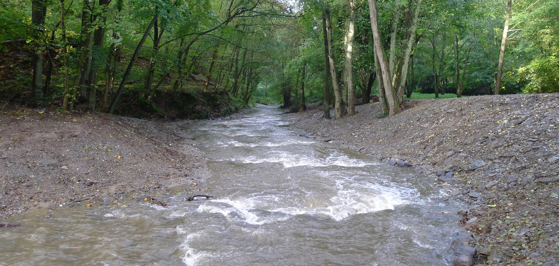 Im Blick: Lebendige Gewässer in Rheinland-Pfalz | Rhein-Lahn-Kreis