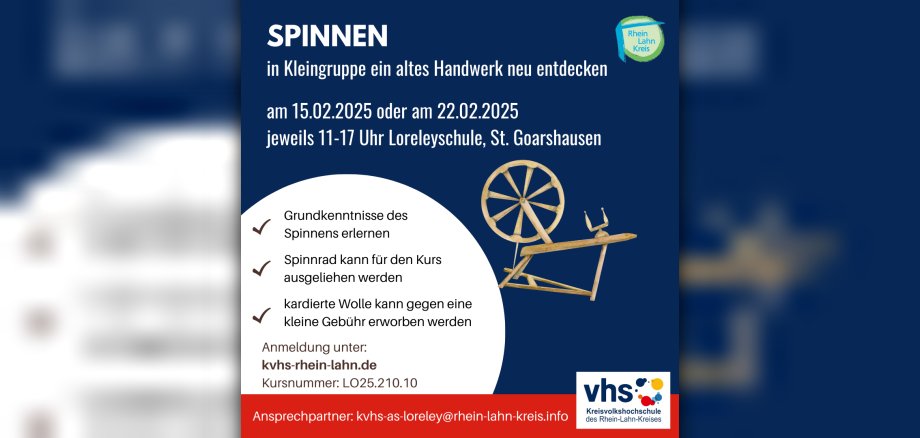 Spinnen LO - 1